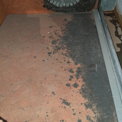mold issues