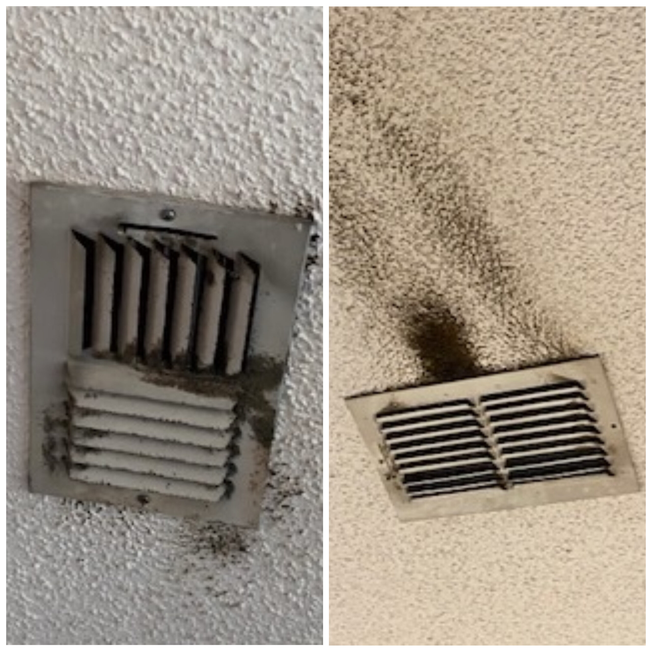 Black Spots On Vent Might Be Mold Mr Duct Cleaner