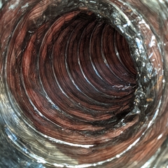 black mold in ducts