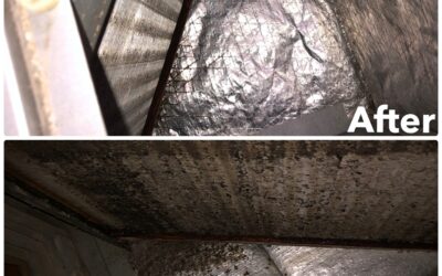 Importance of HVAC and Duct Cleaning