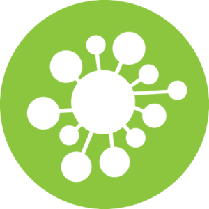 mold specialists