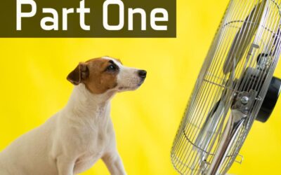 Tips To Beat The Heat – Part One