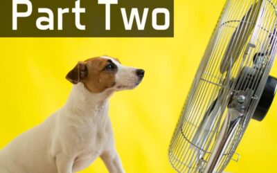 Tips To Beat The Heat – Part Two