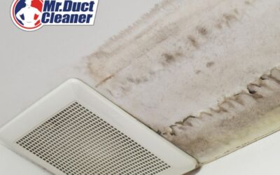 Cold Outside – Think Mold Inside