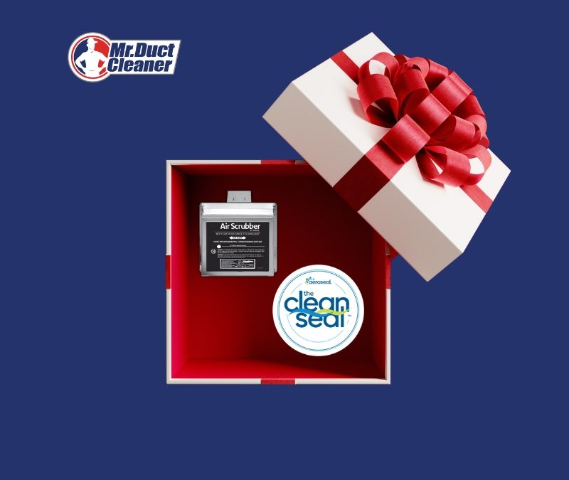 Give the Gift of Clean Indoor Air