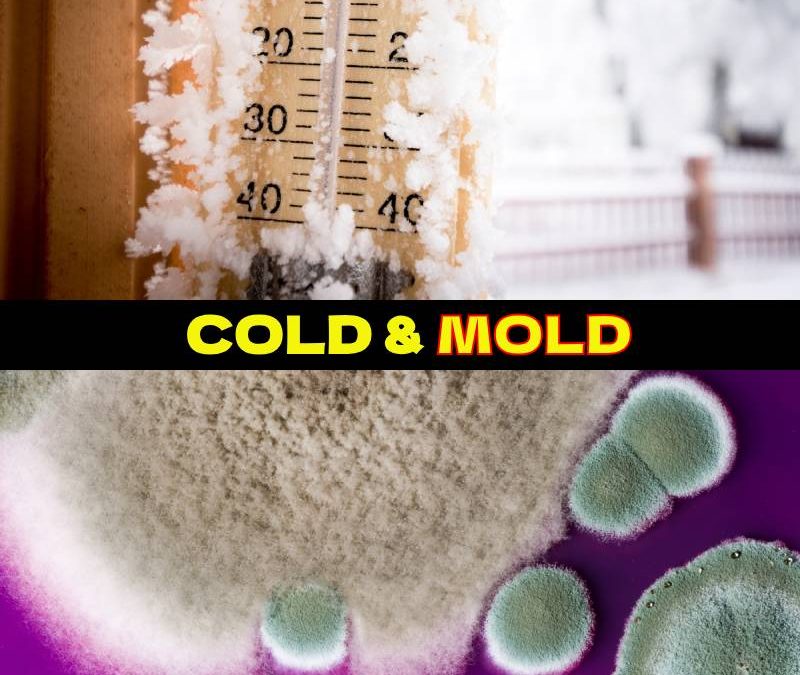 cold and mold hvac