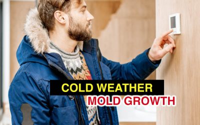 Cold Weather Signals Mold Growth in HVAC Ducts