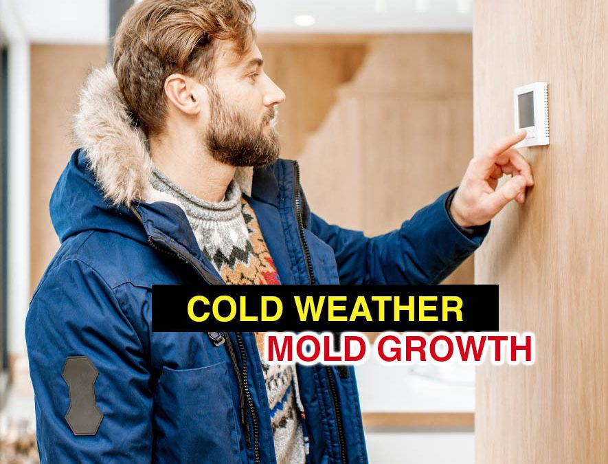 cold weather mold