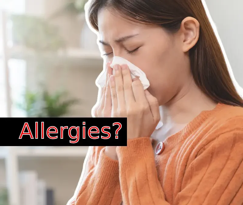 indoor allergies