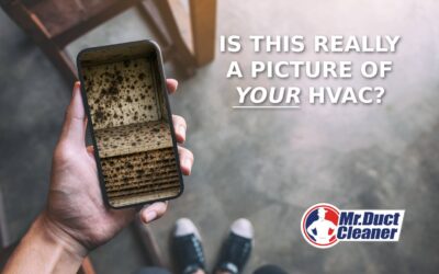 Don’t Fall for Dirty Tricks: How to Spot Fake HVAC and Duct Cleaning Photos