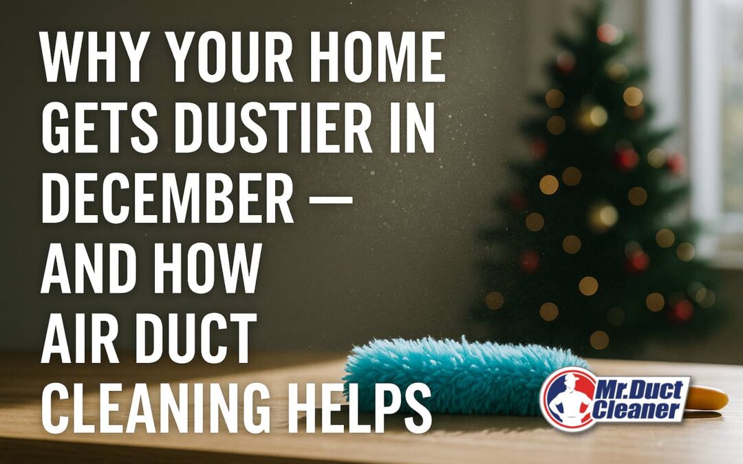 dustier in december ducks