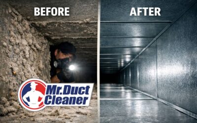 The Hidden Cost of Skipping Duct Cleaning for 5+ Years | Mr. Duct Cleaner