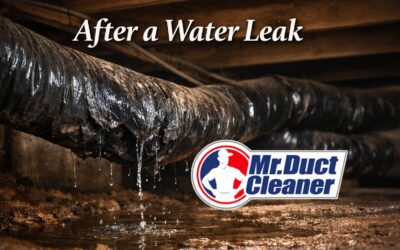 Why You SHould Have Your Air Ducts Cleaned After a Water Leak