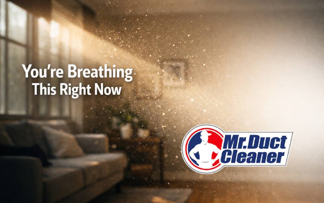 sunlight revealing invisible airborne particles in a living room