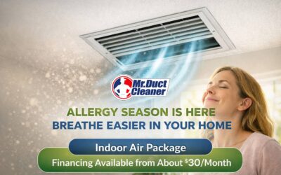 Allergy Season Is Here: Improve Your Indoor Air Quality for About $30 a Month