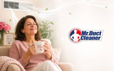 Give Mom Clean Indoor Air | HVAC Cleaning Gift Idea
