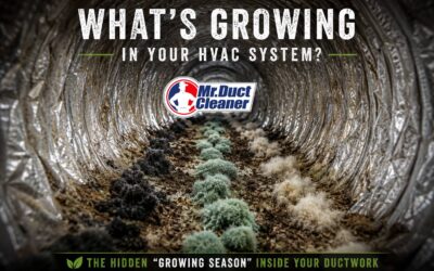 What’s Growing in Your HVAC System?