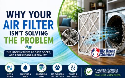 Why Your Air Filter Isn’t Solving the Problem